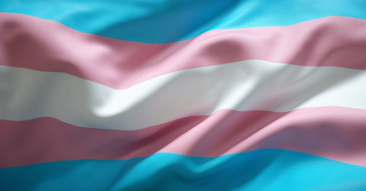 Trans flag