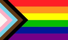 LGBT+ Progress Flag