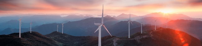 Wind turbines (full width)