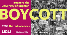 I support the Brighton Boycott