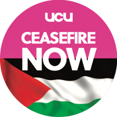 Ceasefire Now - roundel