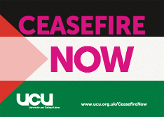 Ceasefire Now poster