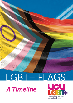 LGBT+ flags - a timeline - booklet cover