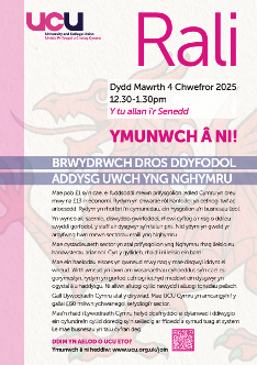 Wales HE Rally flyer - Cy