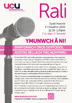 Wales FE Rally flyer - Cy