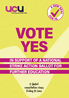 NDFE_E-ballot_A4_poster_May25