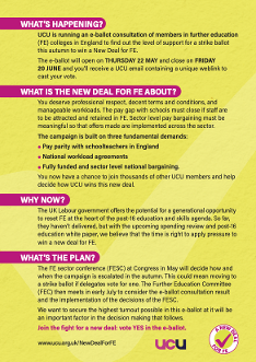 NDFE_E-ballot_A5_flyer_May25
